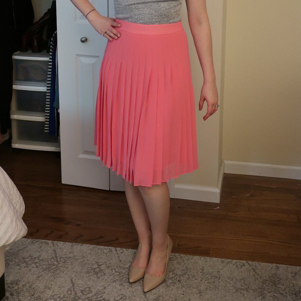 NWT Pink Pleated Chiffon Ann Taylor Skirt